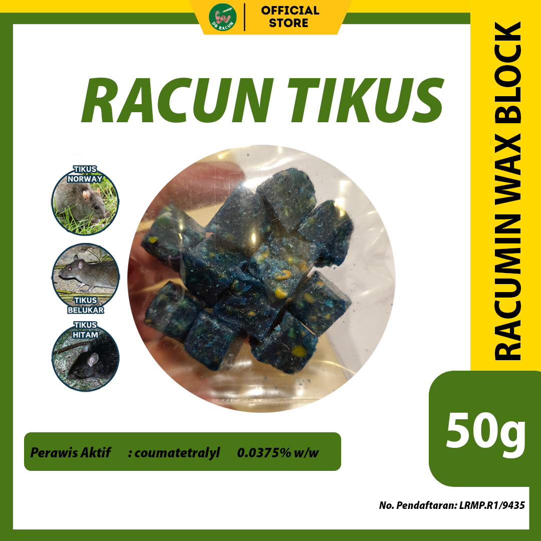 293 2026 02 23 dr racun